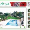 פיתוח ותחזוקה של אתרי אינטרנט - - 221